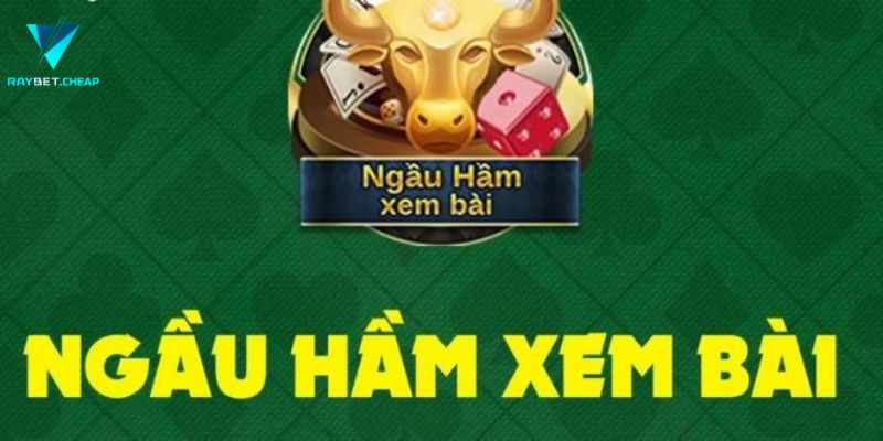 Ngầu hầm raybet mang đến tiền thưởng khủng