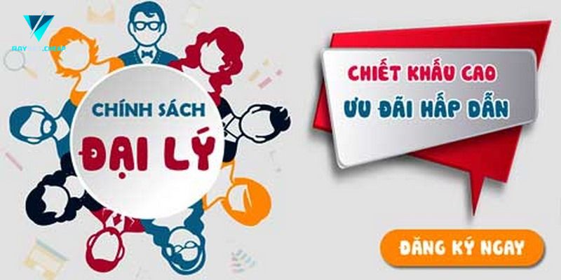 Những lý do nên tham gia đăng ký Đại lý raybet