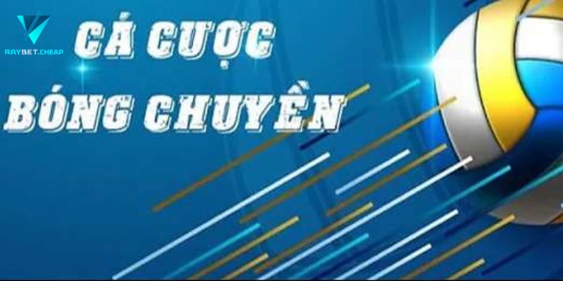 Phân tích tỷ lệ cược bóng chuyền