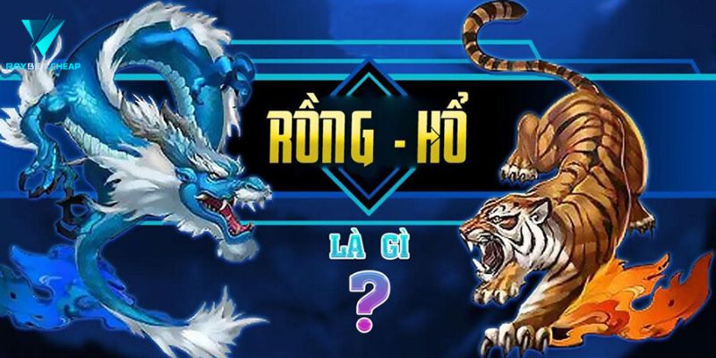 Tại sao trò chơi Rồng hổ raybet hấp dẫn người chơi?